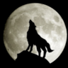 LoneWolf064
