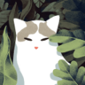 mecatter