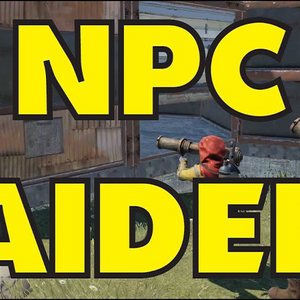 Npc Raiders